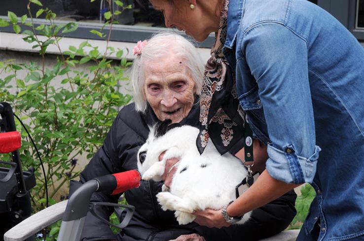 Margit Lovise Hjelvold fra Kollsroa trives godt med dyr, og denne kaninen kom på besøk på 102-årsdagen.